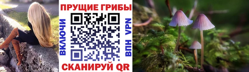 Галлюциногенные грибы ЛСД  цены наркотик  Лыткарино 